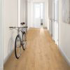 LAMINATO L1005 ROVERE PREDAIA HONEY 4V 8/33 O AQUA C-IT