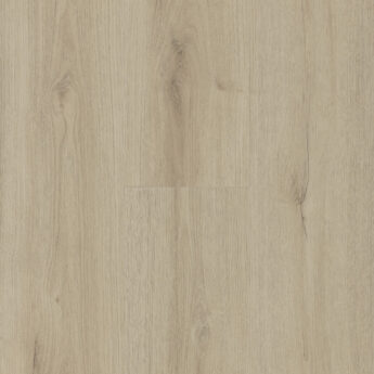 VINILE LVT 2006 ROVERE BELVEDERE 2,5/0,55 MM 33/42